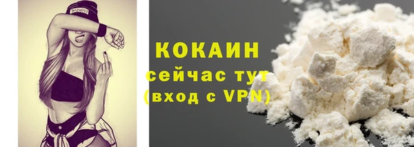 ГАЛЛЮЦИНОГЕННЫЕ ГРИБЫ Каменка