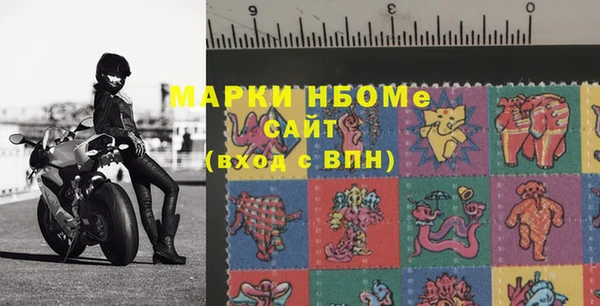 ГАЛЛЮЦИНОГЕННЫЕ ГРИБЫ Каменка