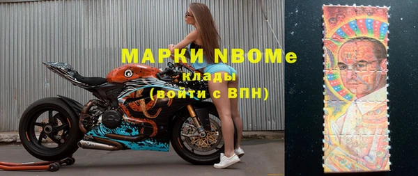ГАЛЛЮЦИНОГЕННЫЕ ГРИБЫ Каменка