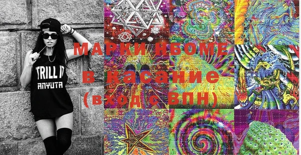 ГАЛЛЮЦИНОГЕННЫЕ ГРИБЫ Каменка
