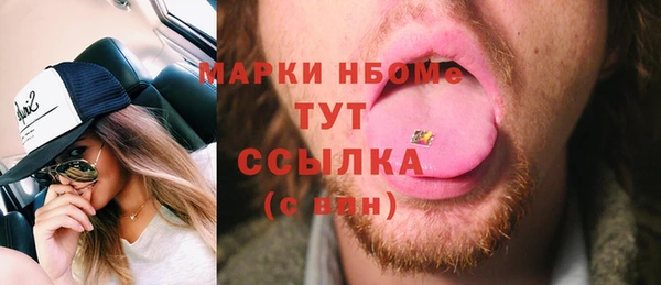ГАЛЛЮЦИНОГЕННЫЕ ГРИБЫ Каменка