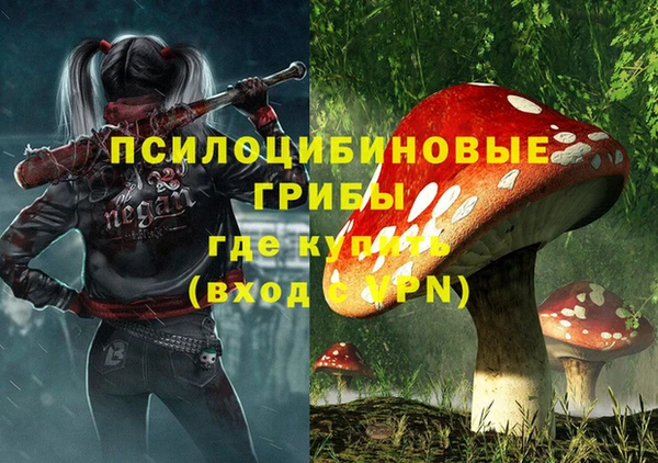 ГАЛЛЮЦИНОГЕННЫЕ ГРИБЫ Каменка