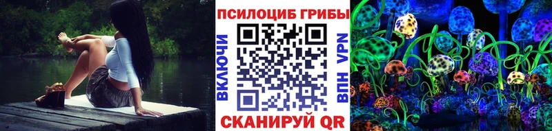 Купить закладки  Знаменск  Галлюциногенные грибы прущие грибы 