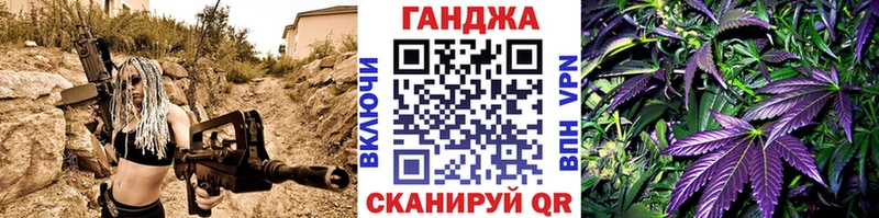 Купить где  Знаменск  Конопля OG Kush 